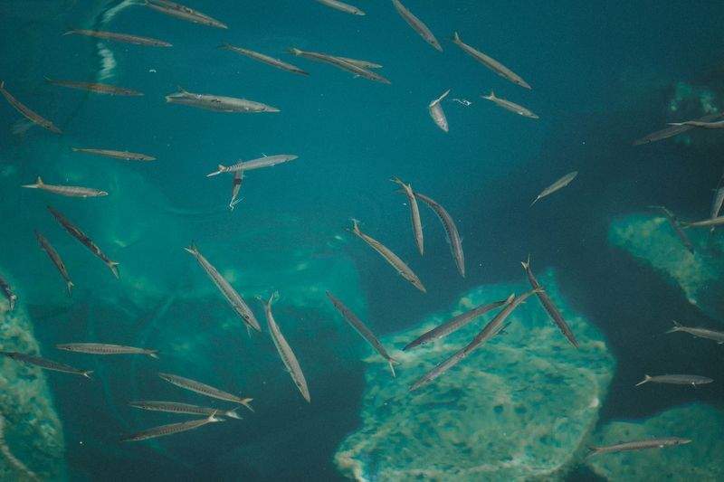 未来学園 - Image 7